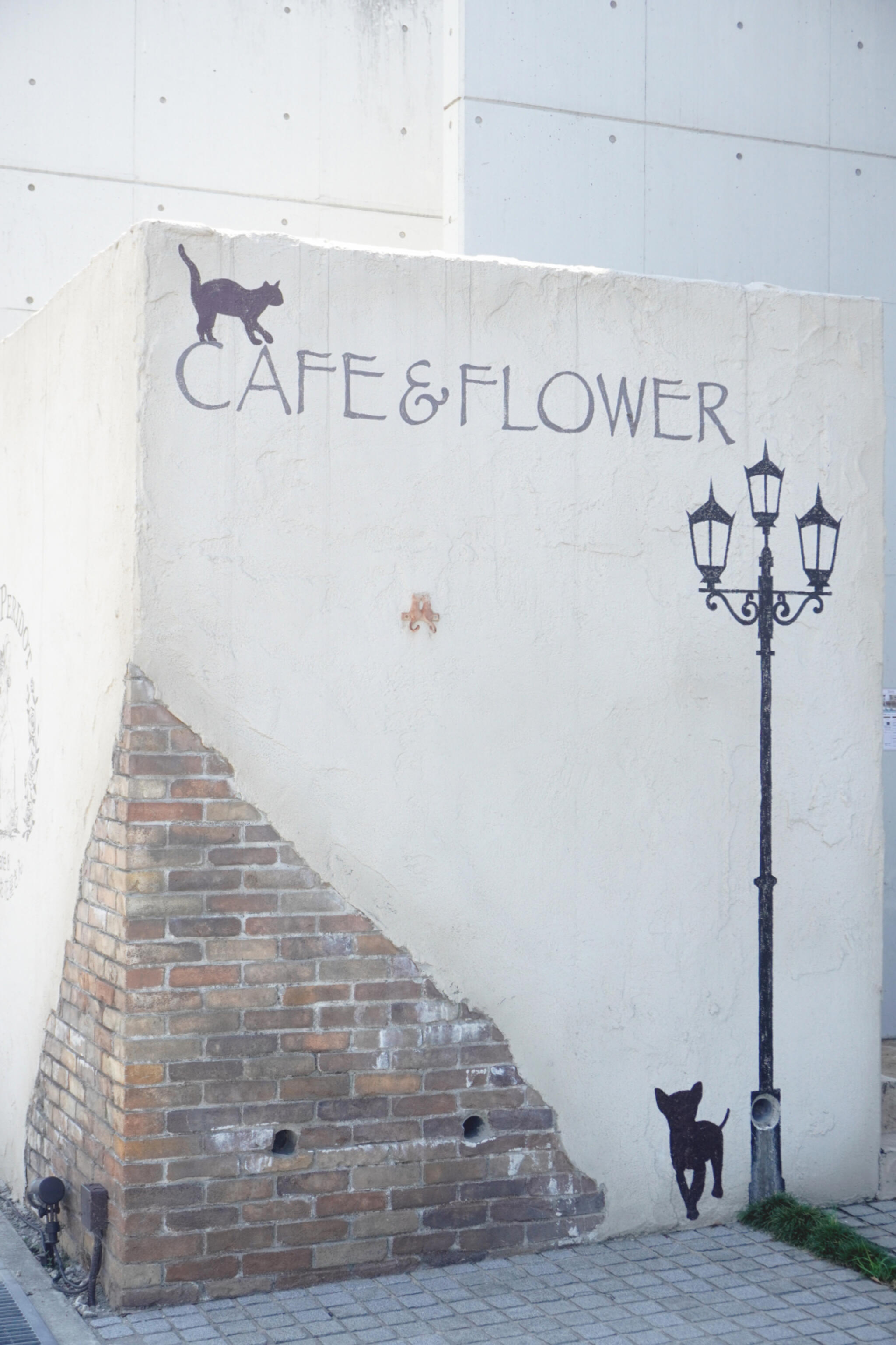 動物のお花屋さん cafe Myperidotの代表写真7