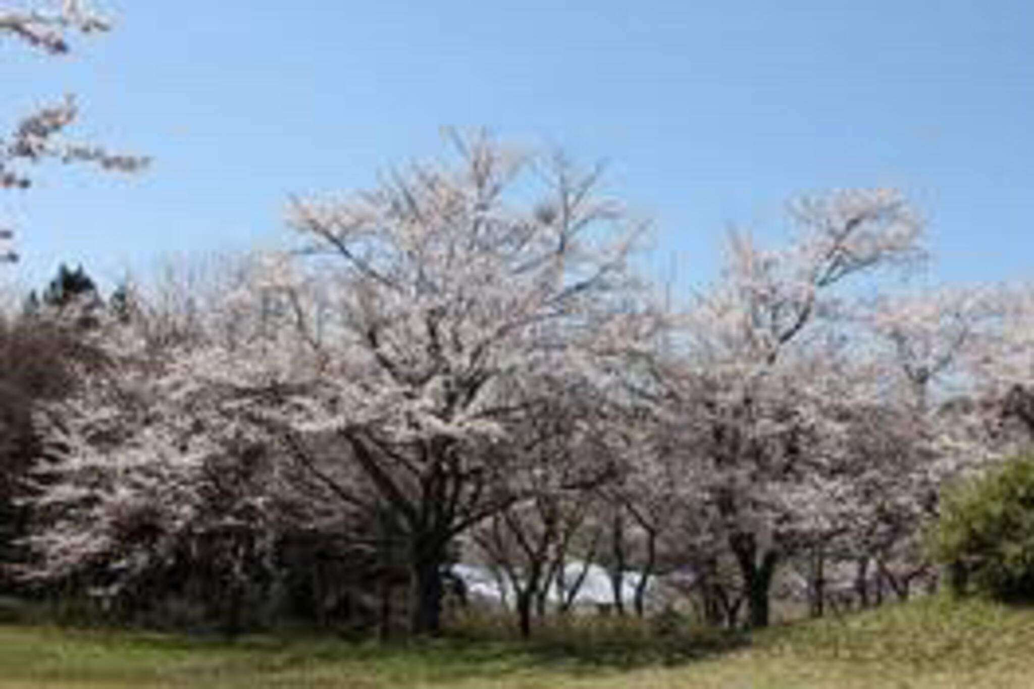 志乎・桜の里温泉古墳の湯の代表写真9