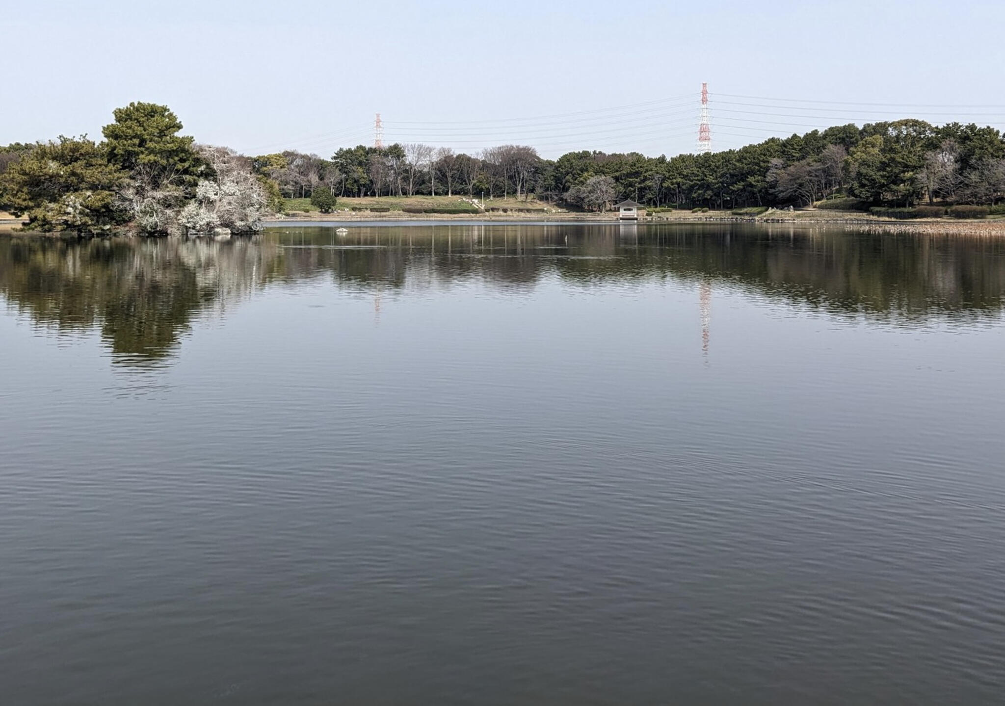 大泉緑地の代表写真9