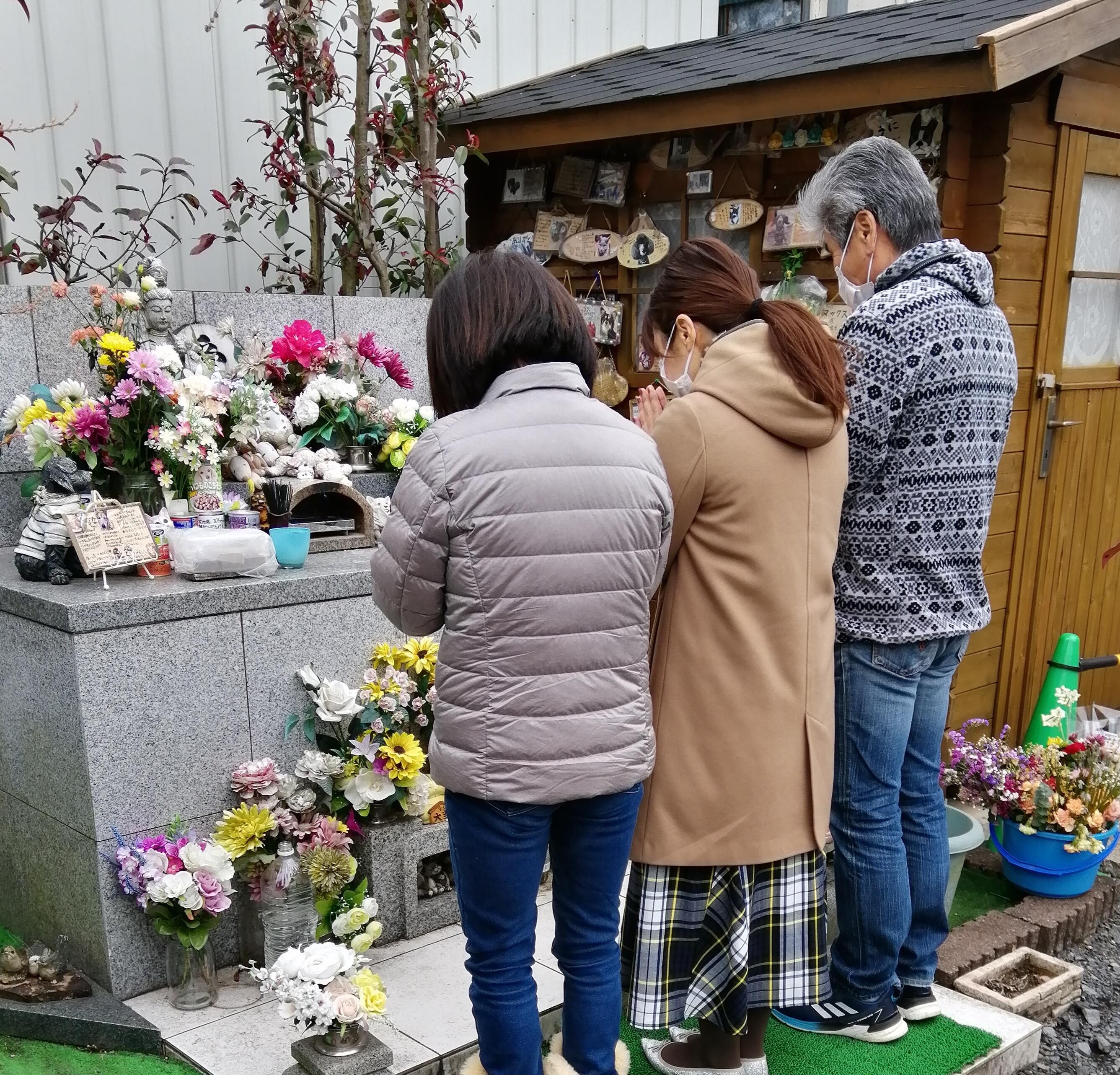 栃木県小山市 ペット コレクション 火葬