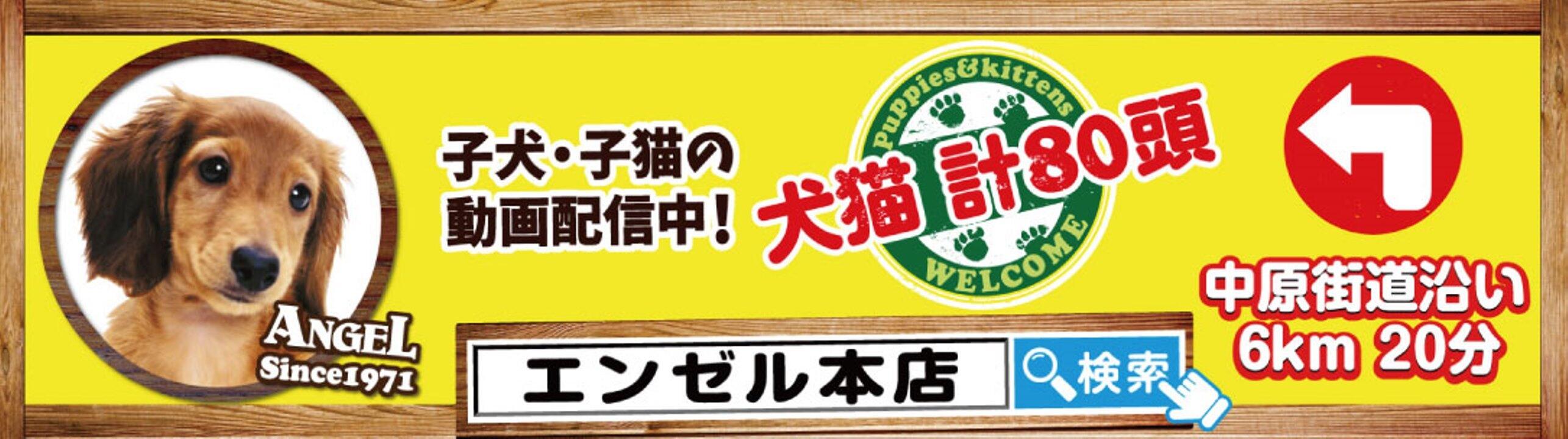 トップ 横浜 ホームセンター ペット同伴