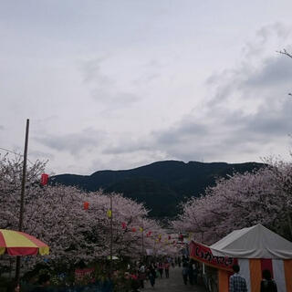 橘神社の写真9