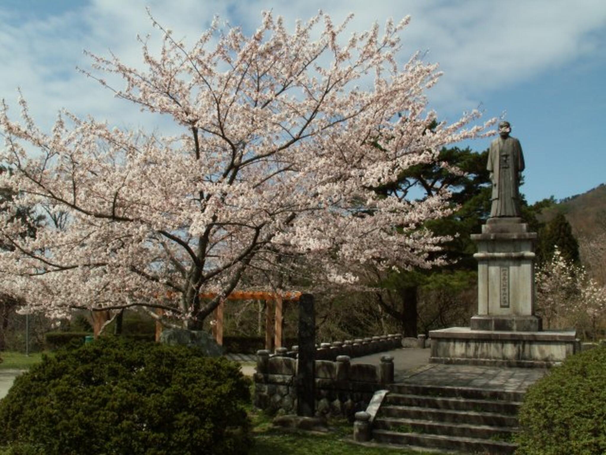 大山公園の代表写真1