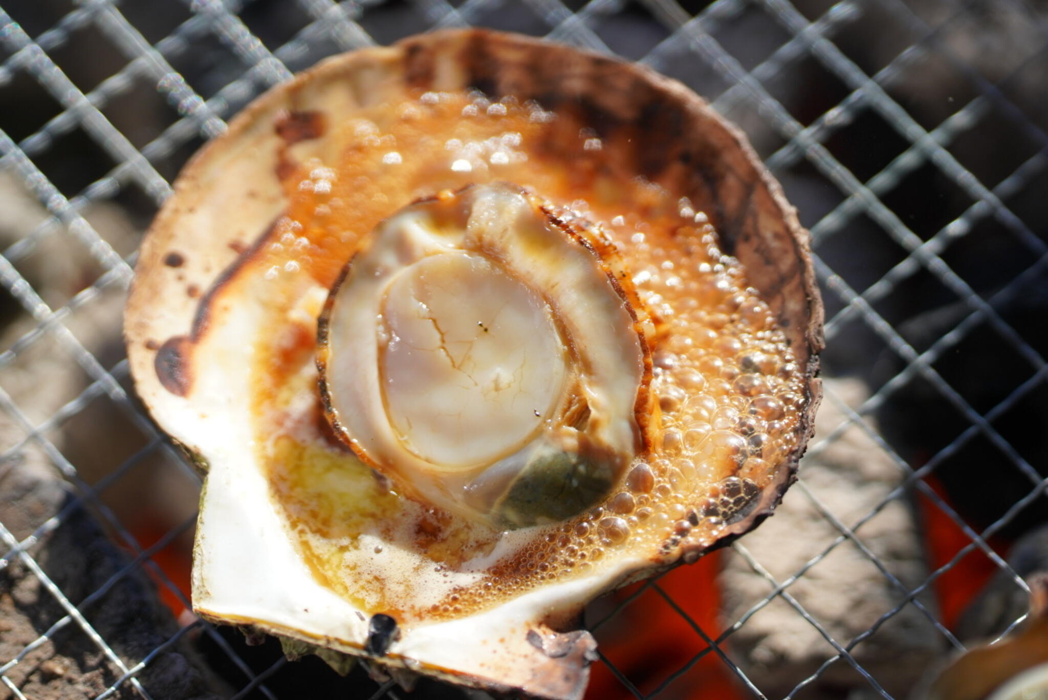 牡蠣焼き 竹崎海産の代表写真8