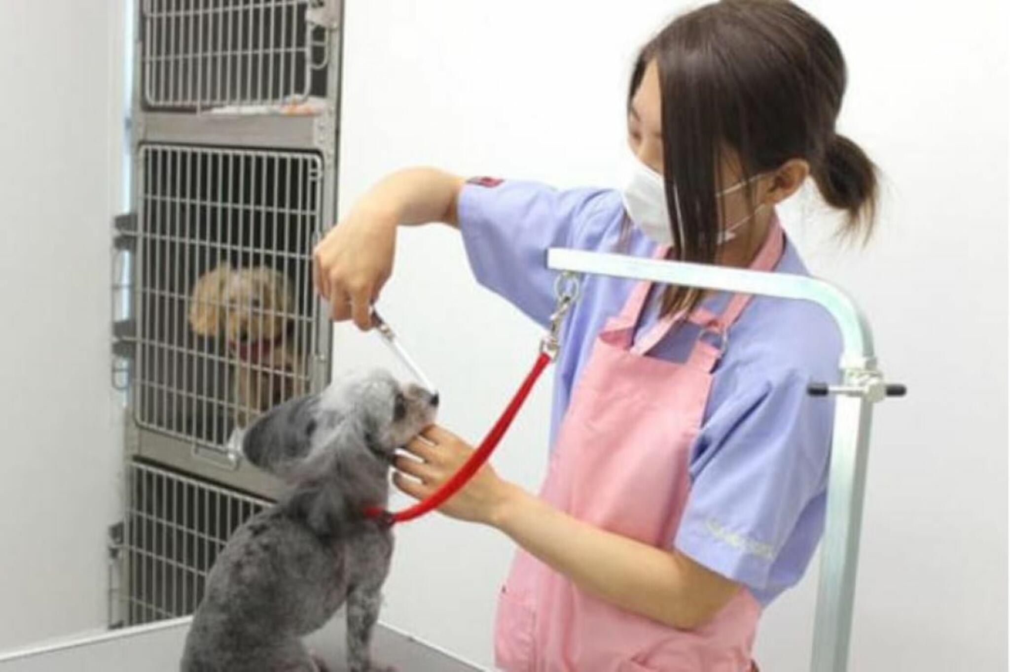 鈴木犬猫病院の代表写真3