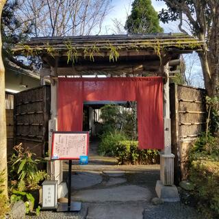 伊豆高原 城ヶ崎温泉 花吹雪のクチコミ写真1