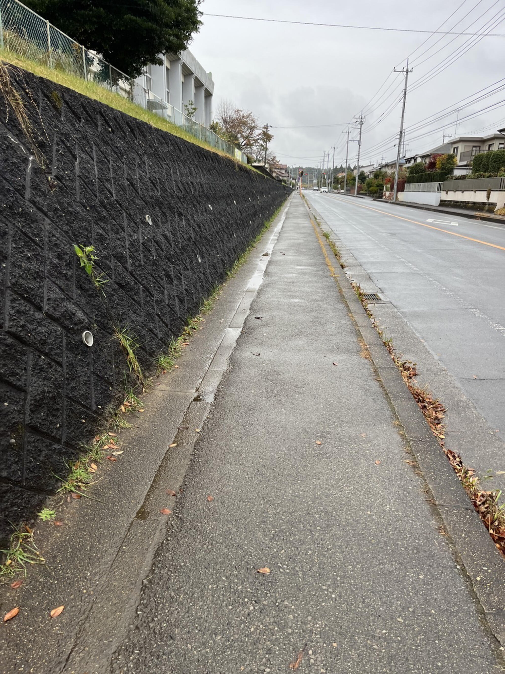 印西市立木刈小学校の代表写真2