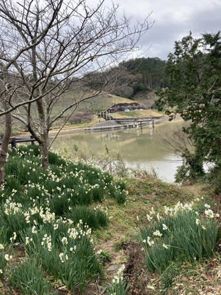 佐久間ダム公園のクチコミ写真1