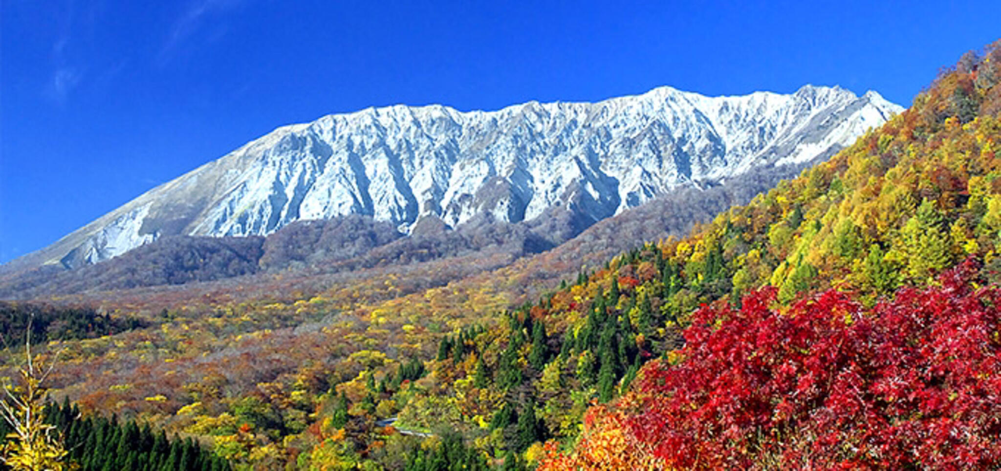 大山の代表写真2