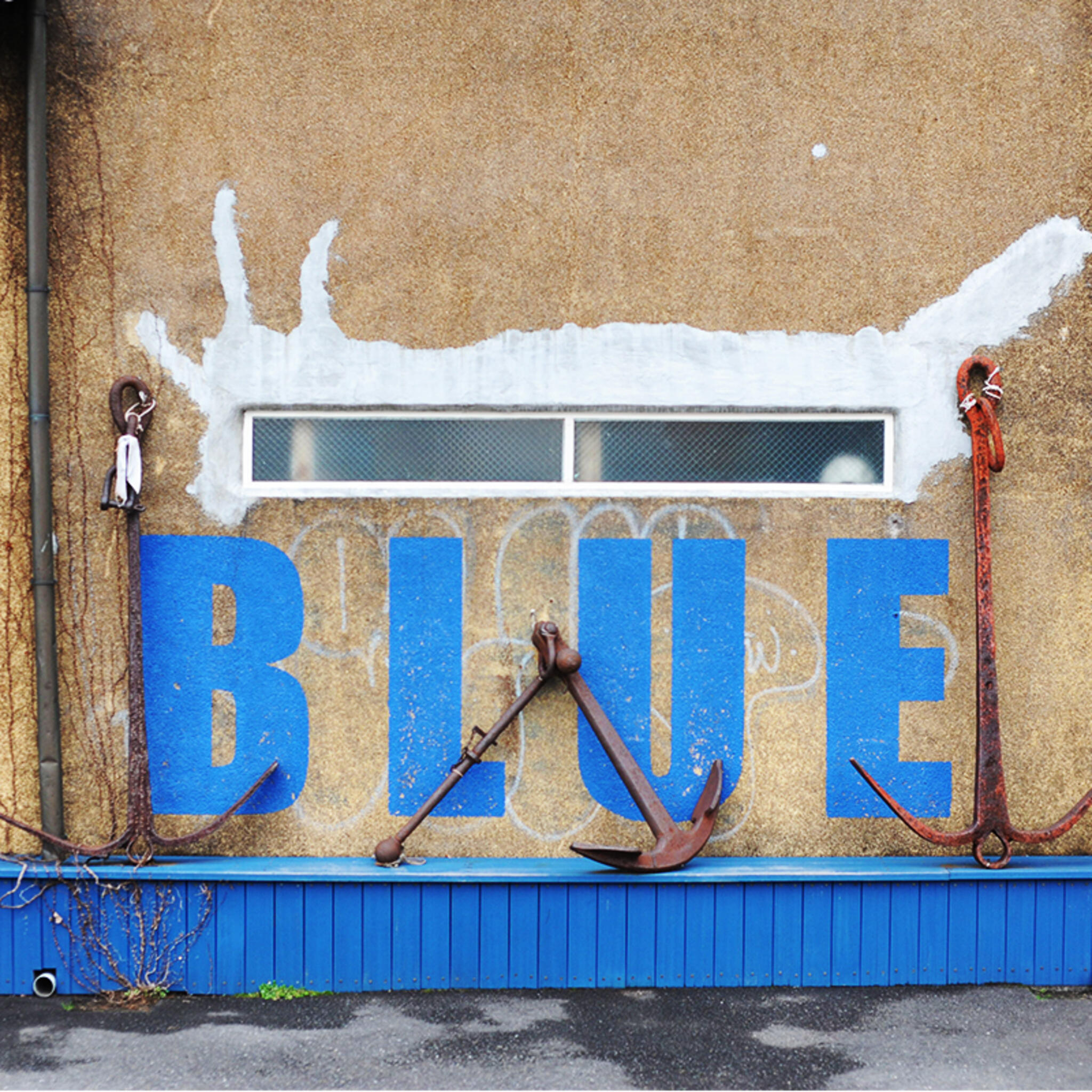 BLUE BLUE YOKOHAMAの代表写真7