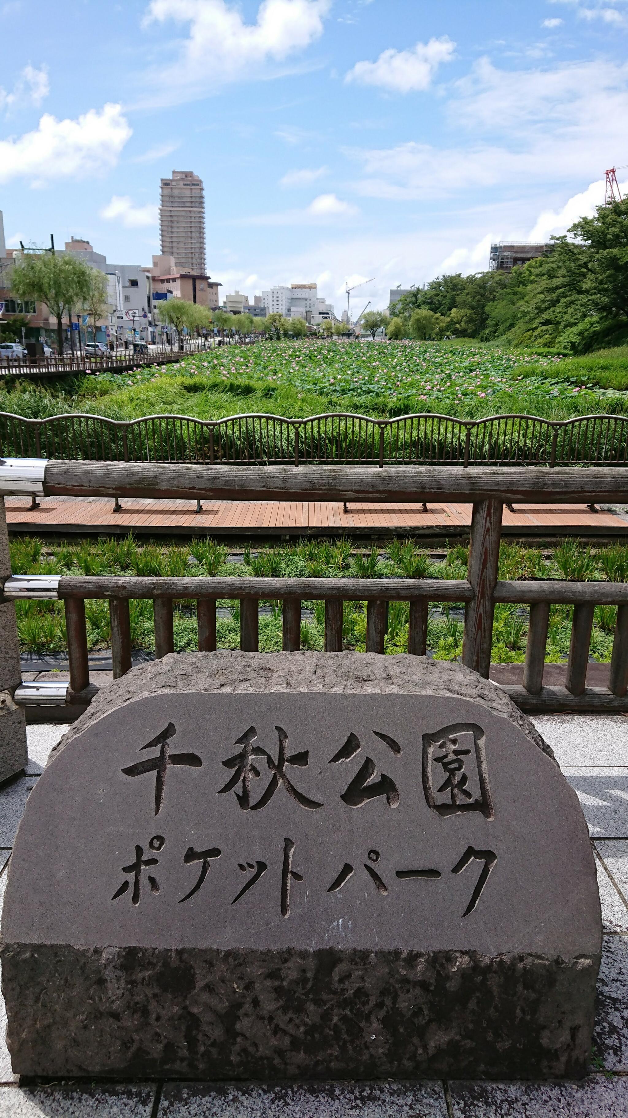 千秋公園の代表写真7