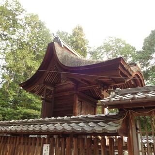 新宮神社の写真5