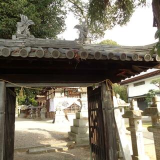 新宮神社の写真16