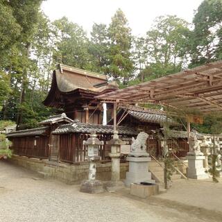 新宮神社の写真10