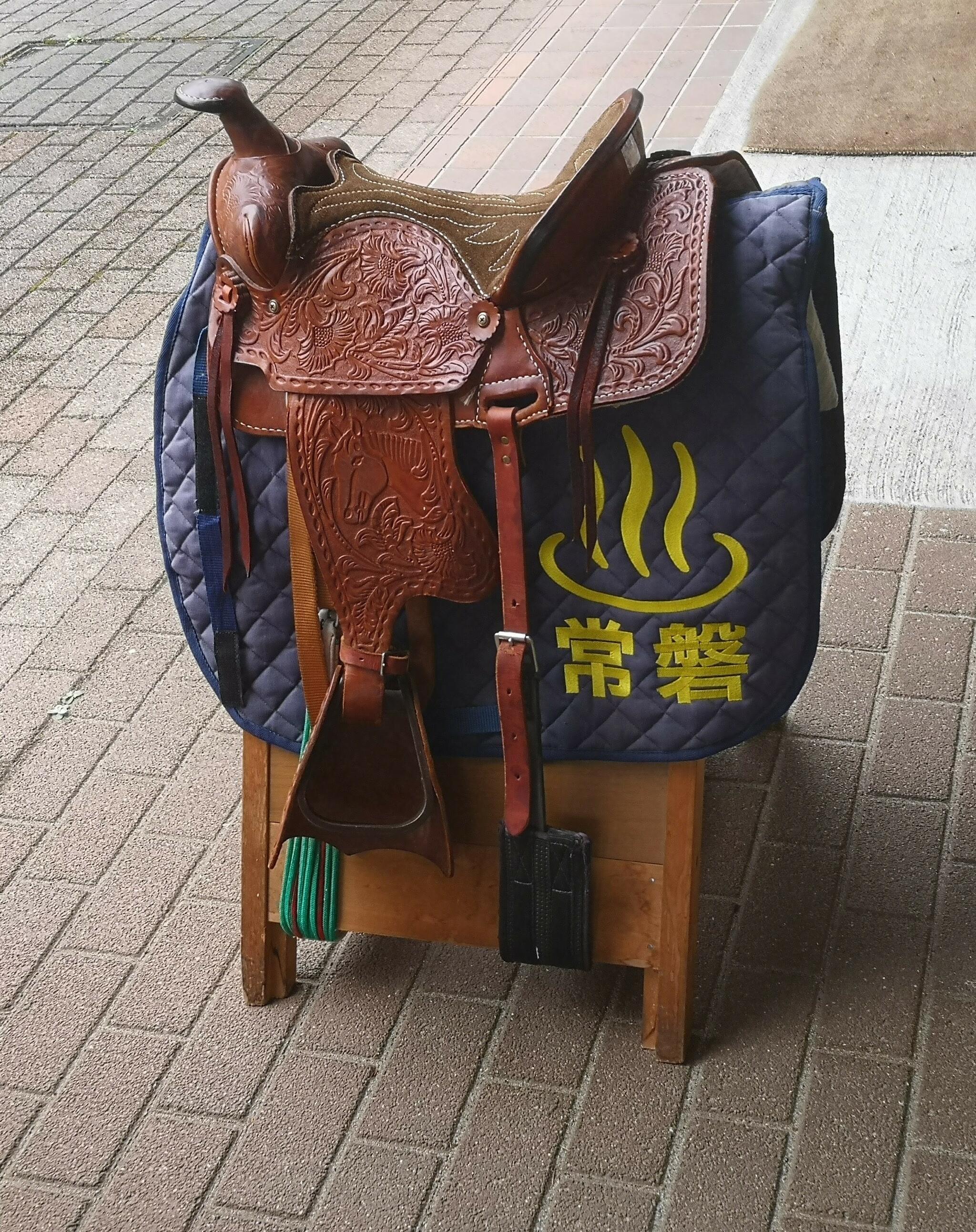 クチコミ : JRA競走馬リハビリテーションセンター - いわき市常磐白鳥