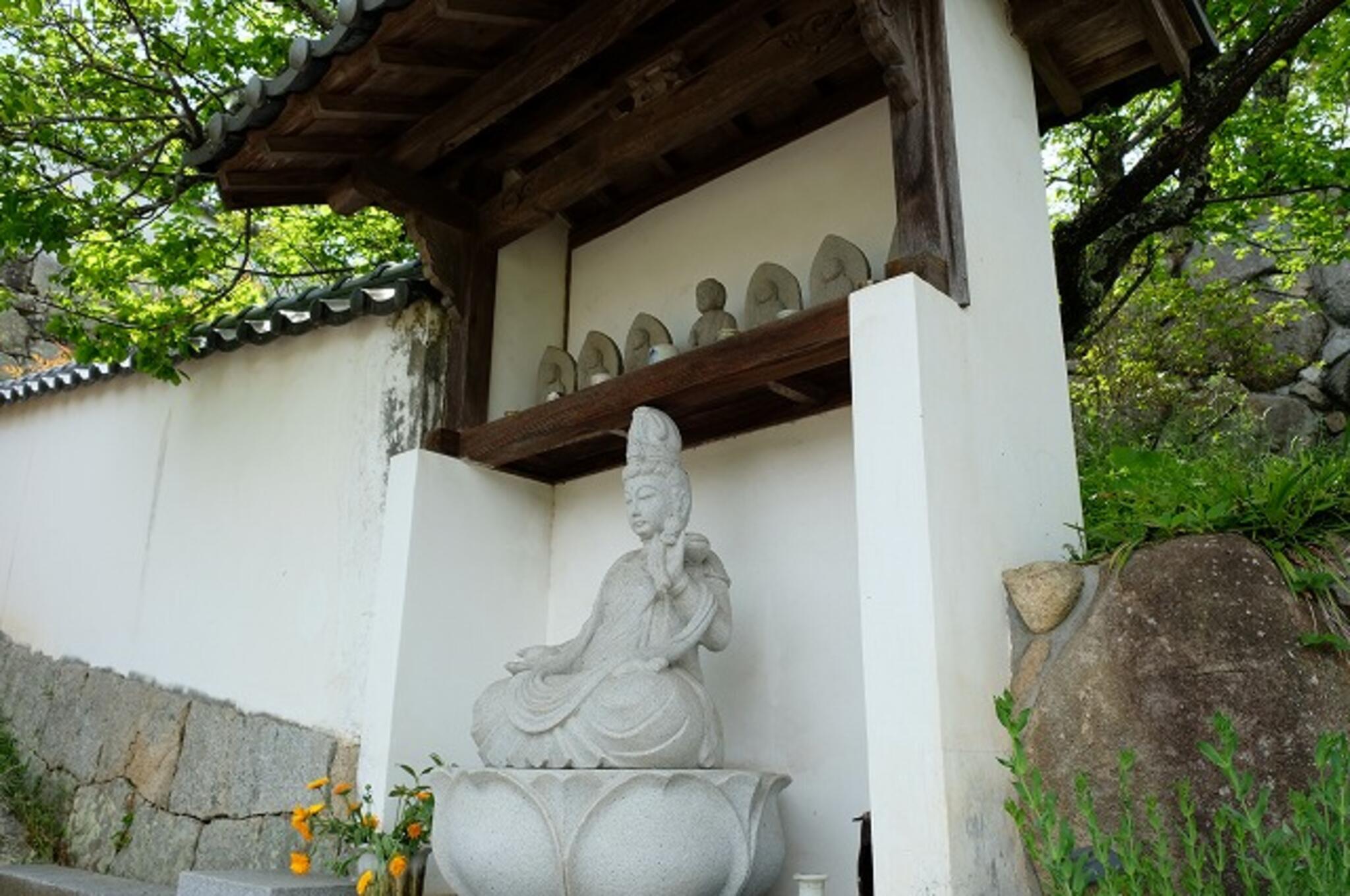 観照寺の代表写真1