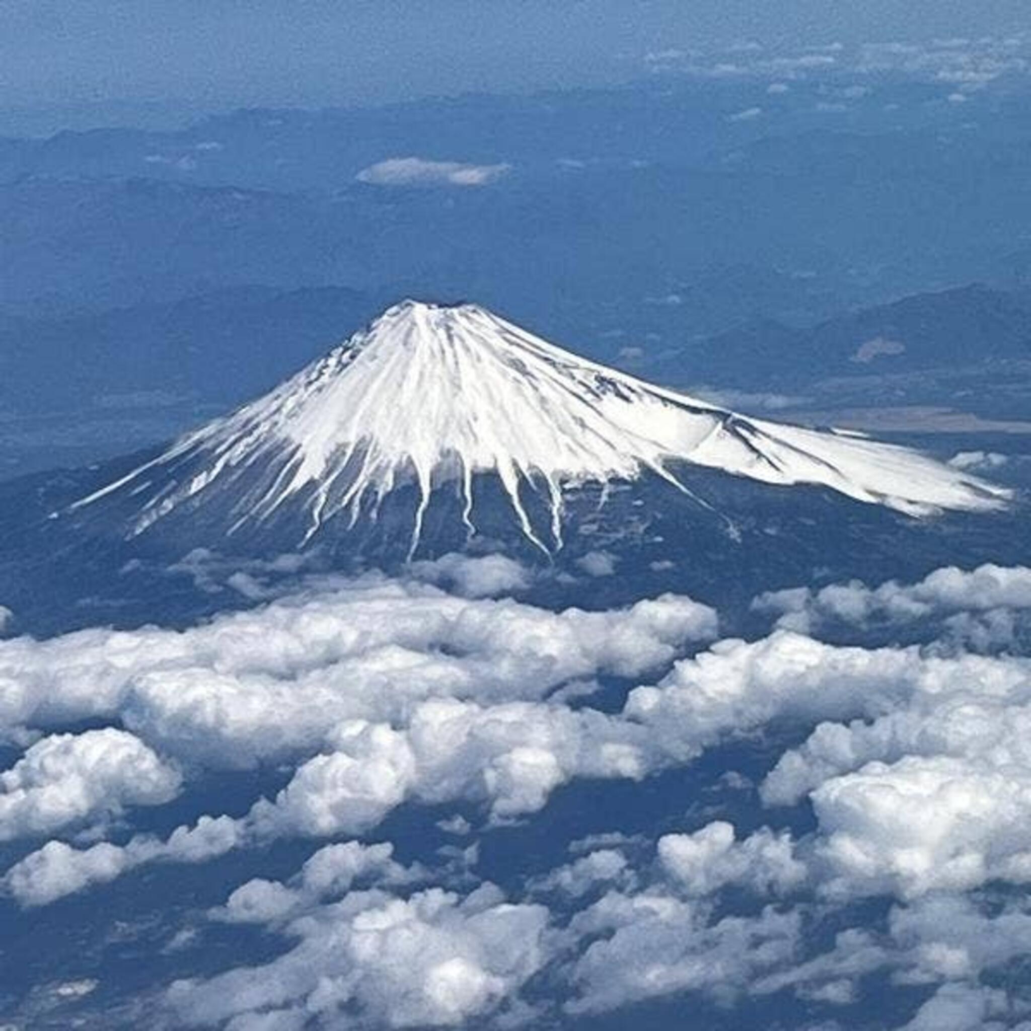 ポーたま那覇空港国内線到着ロビー店の代表写真3