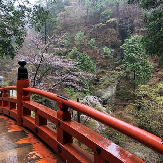 榛名神社の写真12
