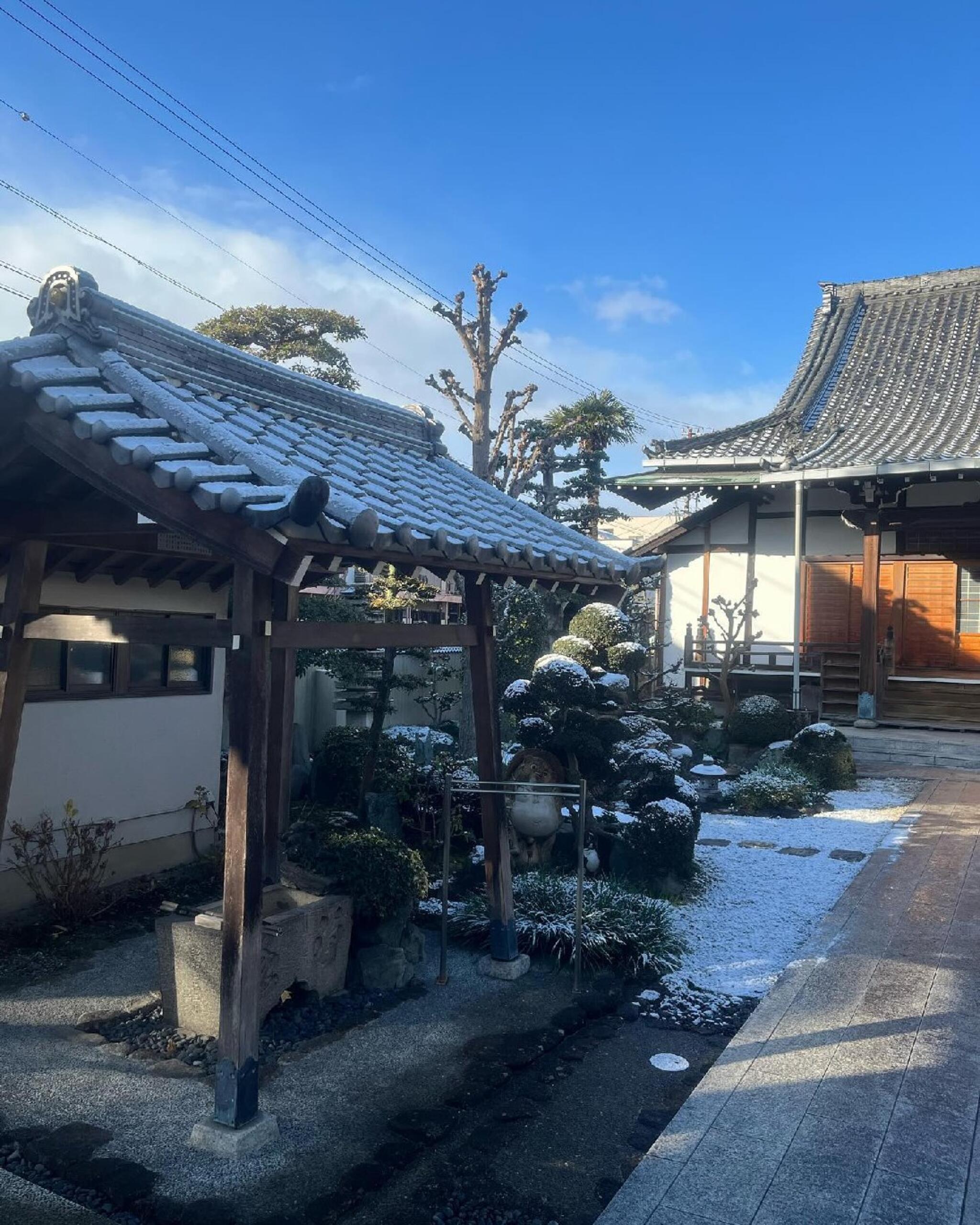 ペット 火葬 名古屋 中川 コレクション 区