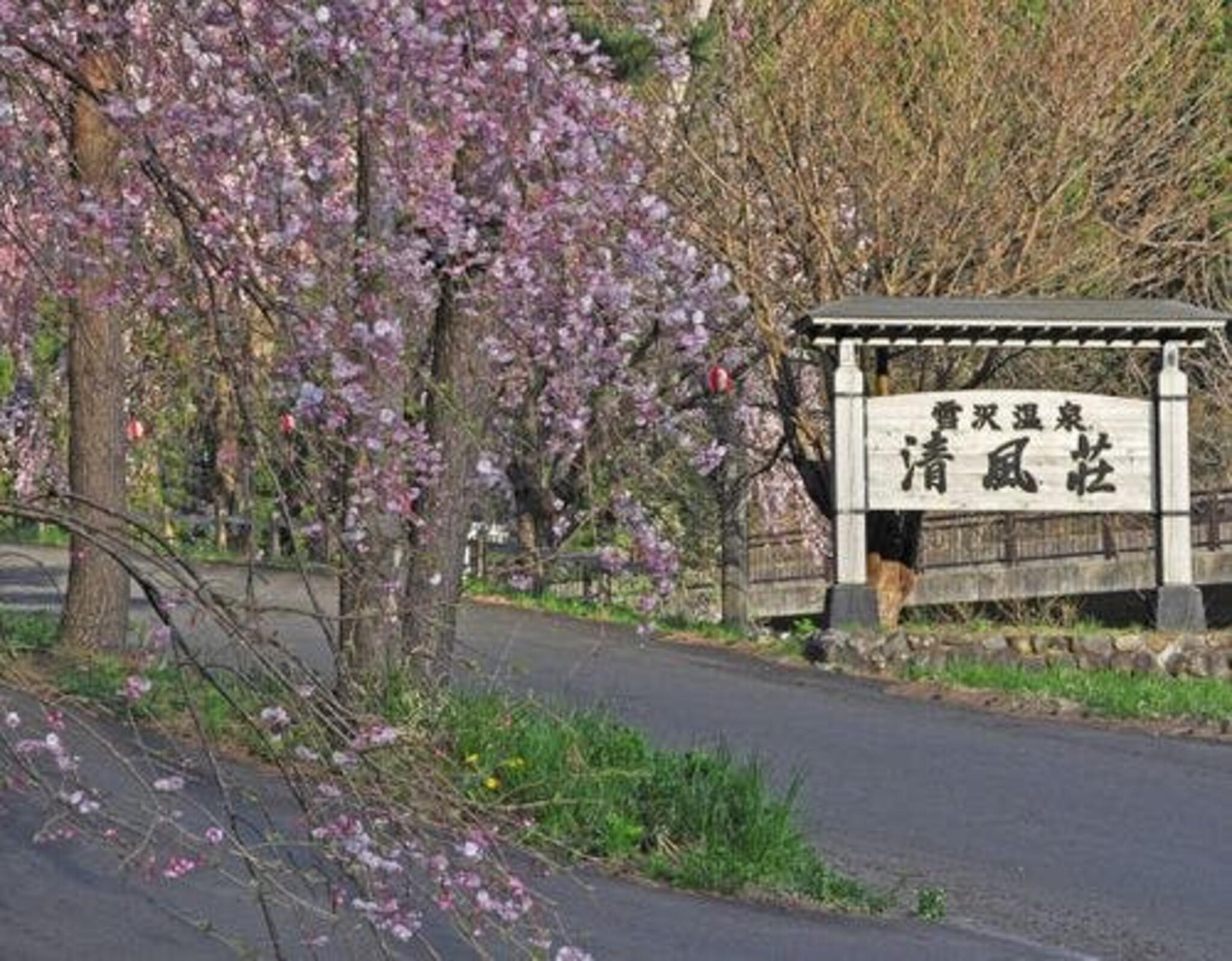 雪沢温泉清風荘の代表写真7