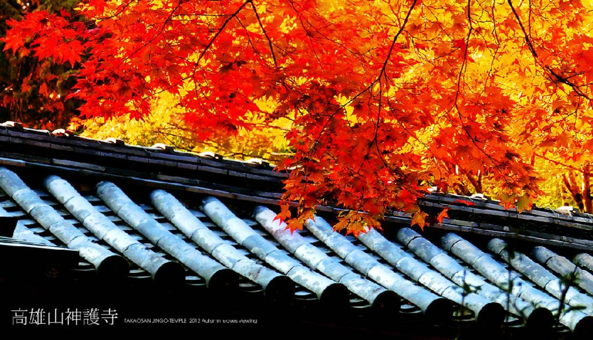 高雄山神護寺の代表写真7