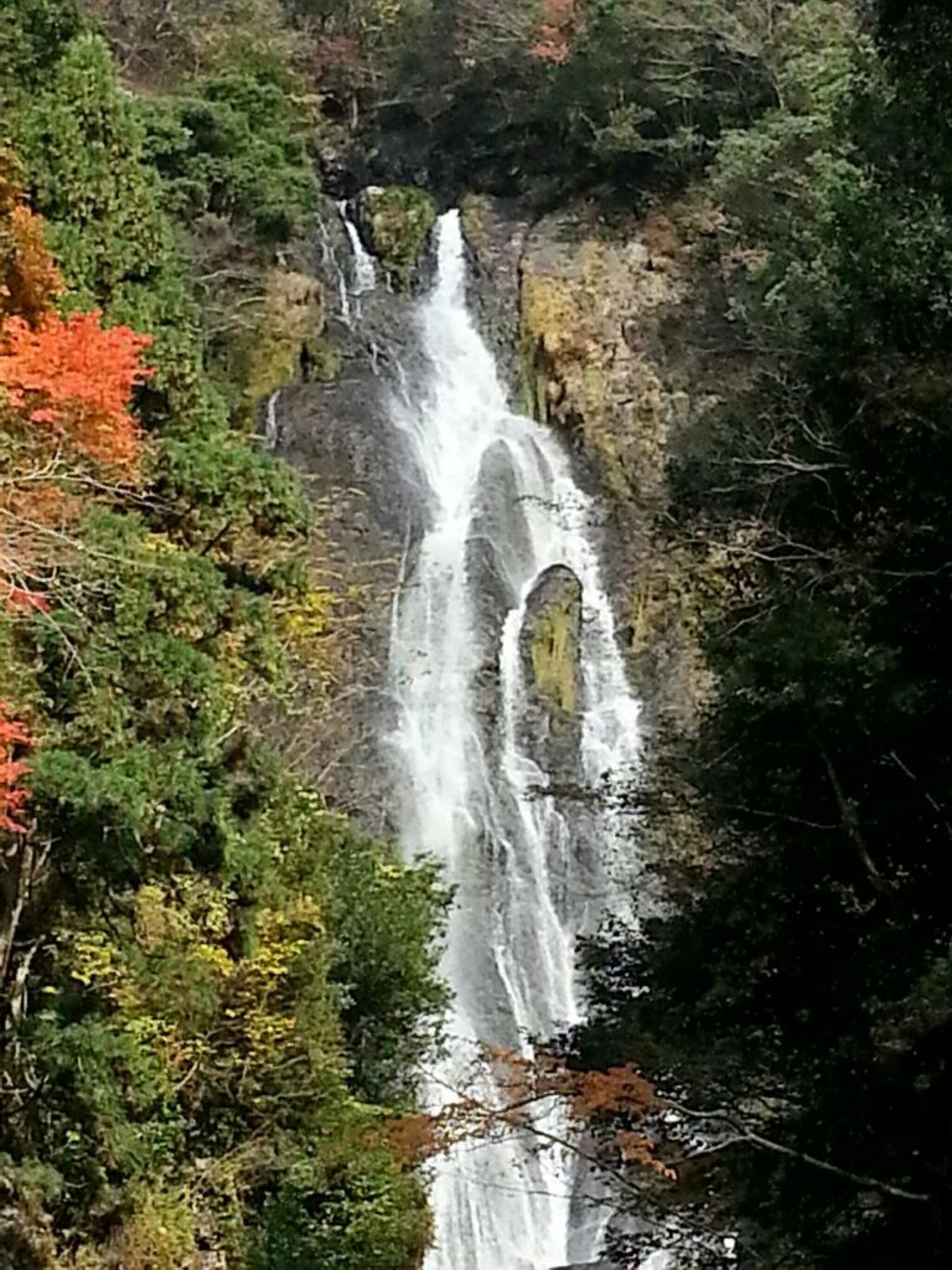 神庭の滝自然公園の代表写真6