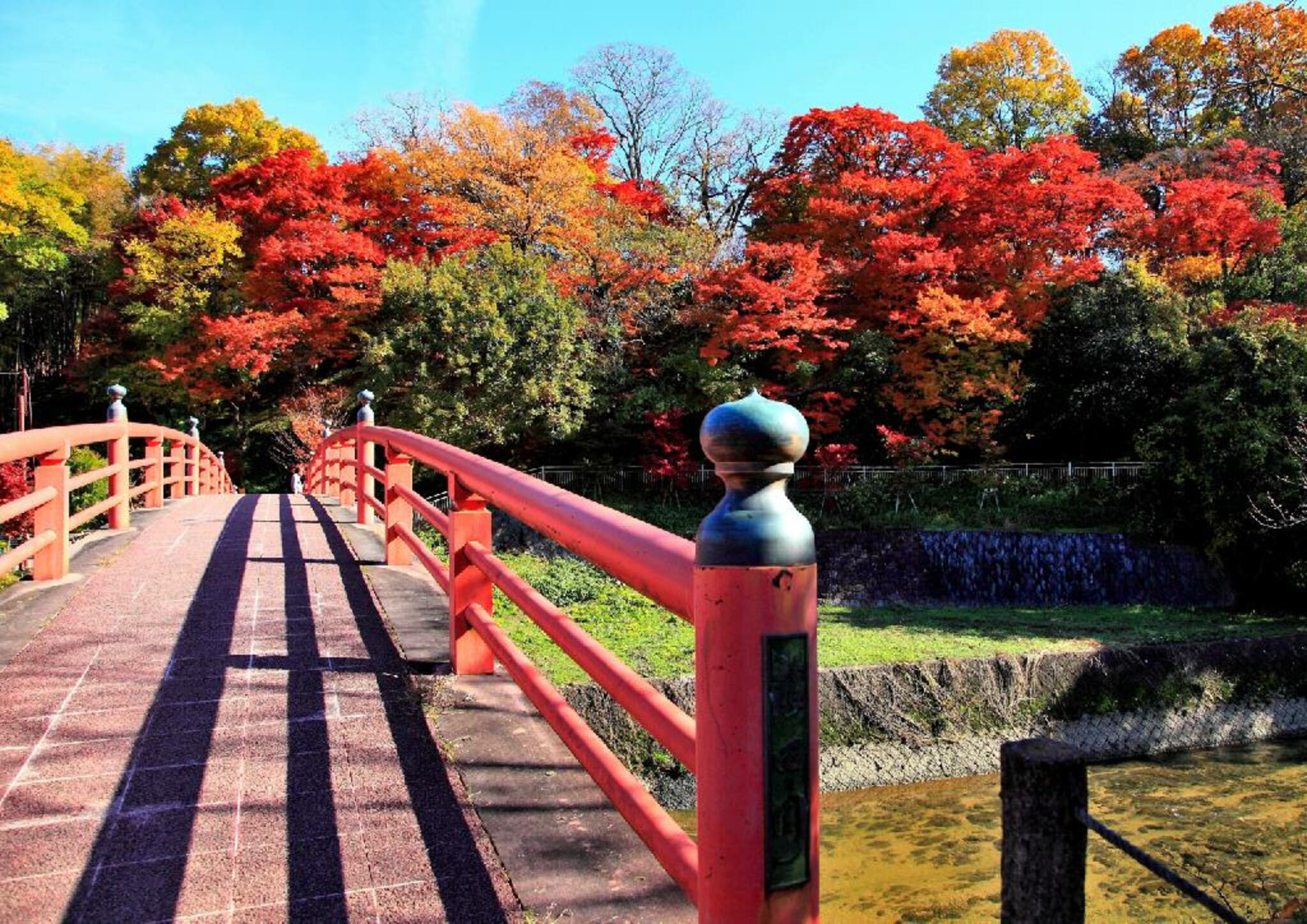 奈良県立竜田公園の代表写真7