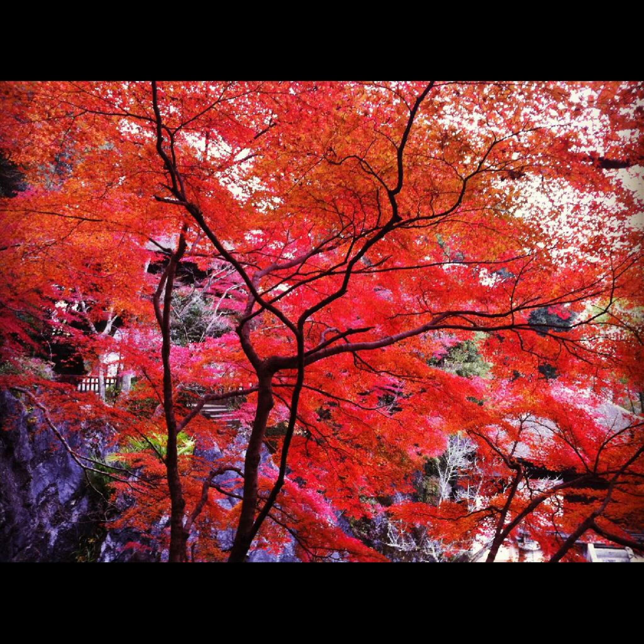 石山寺の代表写真4