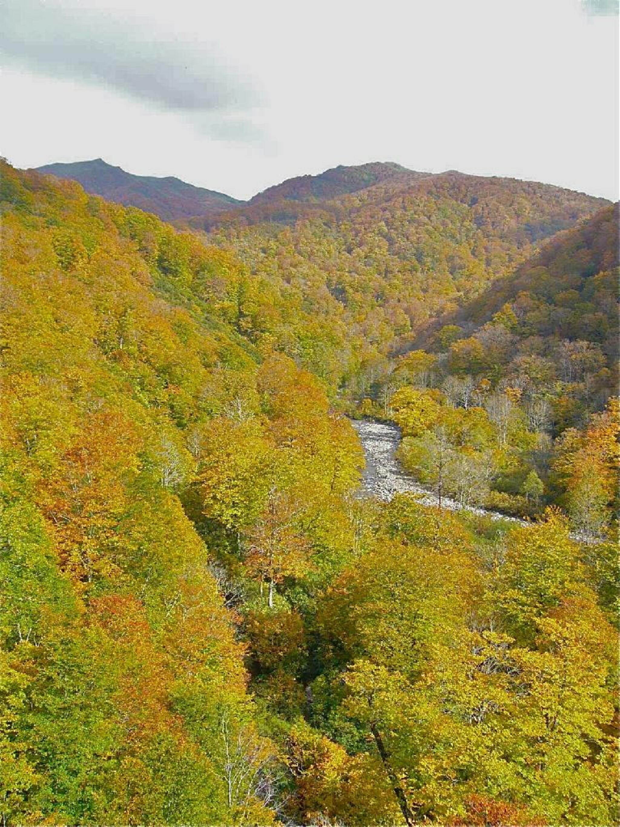胆沢川渓谷の代表写真4