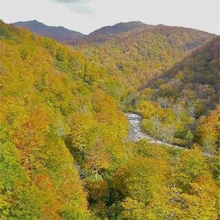 胆沢川渓谷の写真4