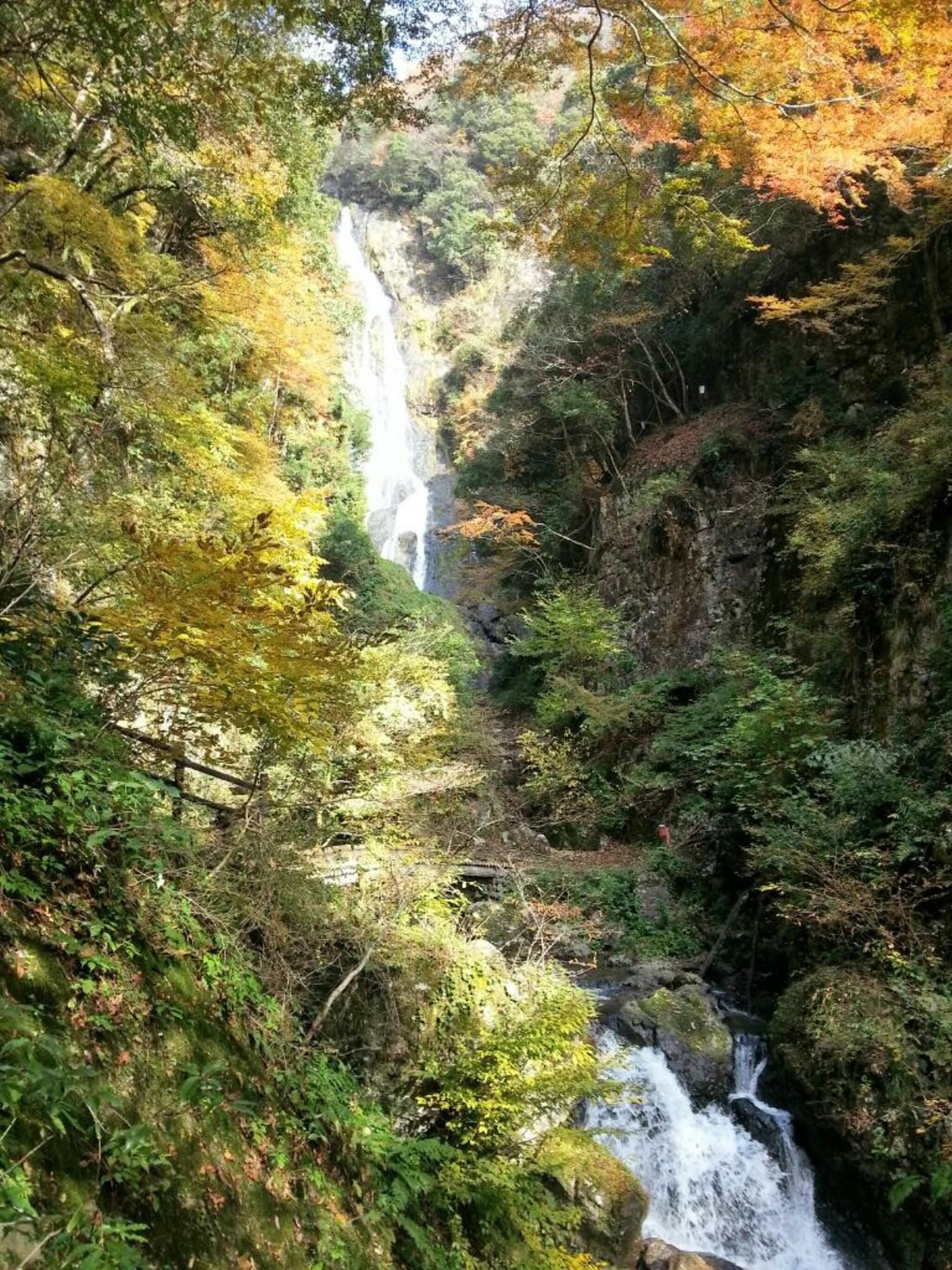 神庭の滝自然公園の代表写真10
