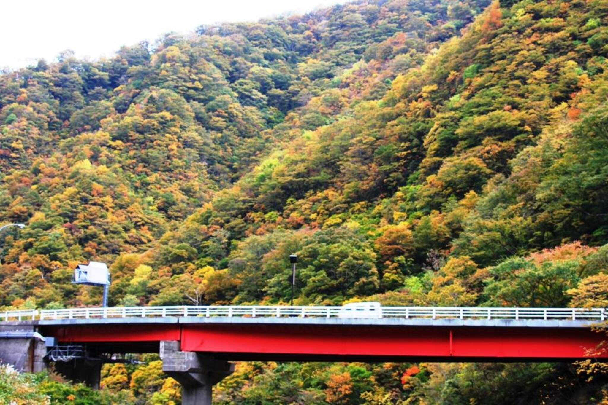 赤芝峡の代表写真10