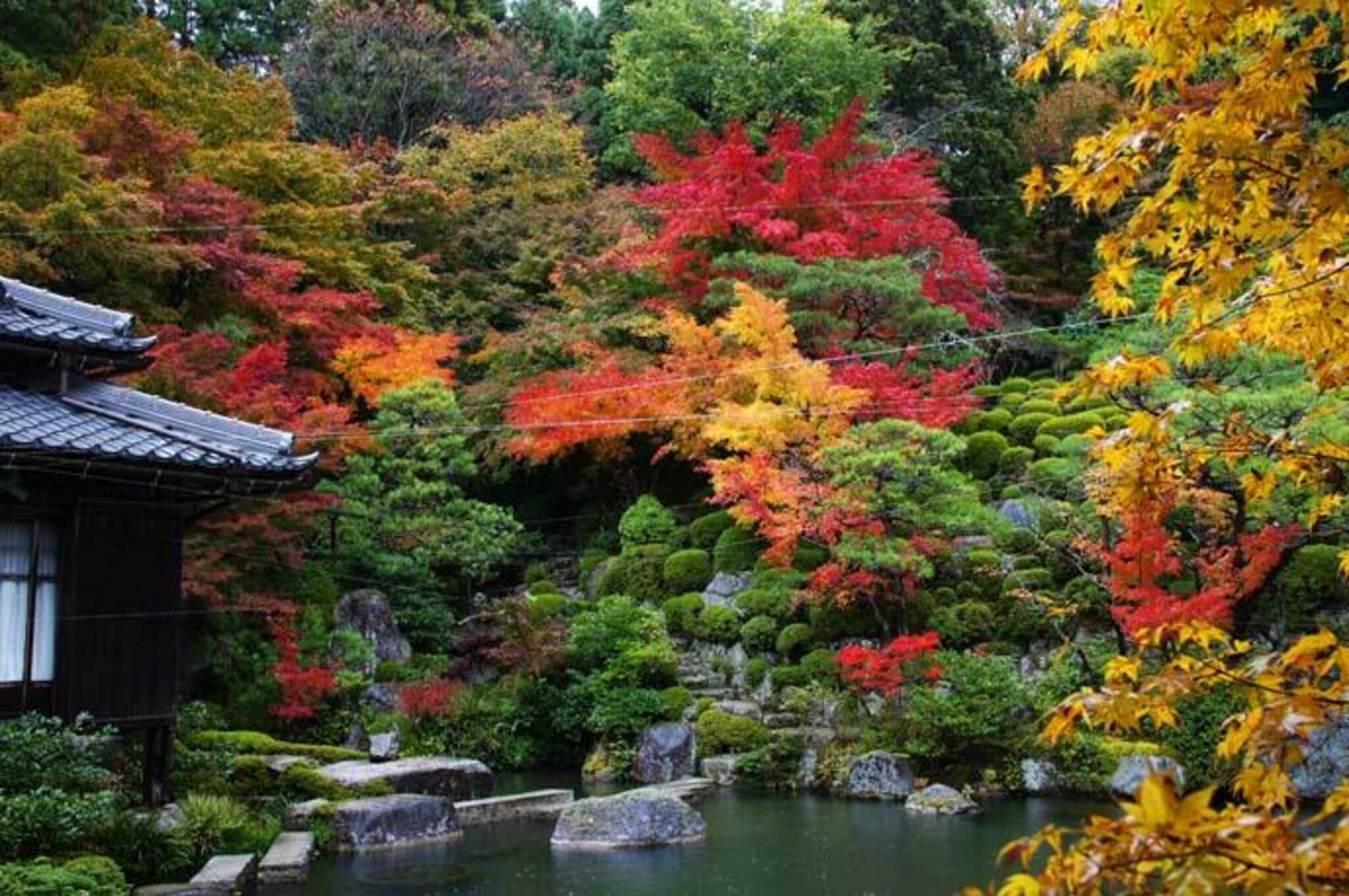 「国史跡」釈迦山 百済寺(湖東三山)の代表写真9