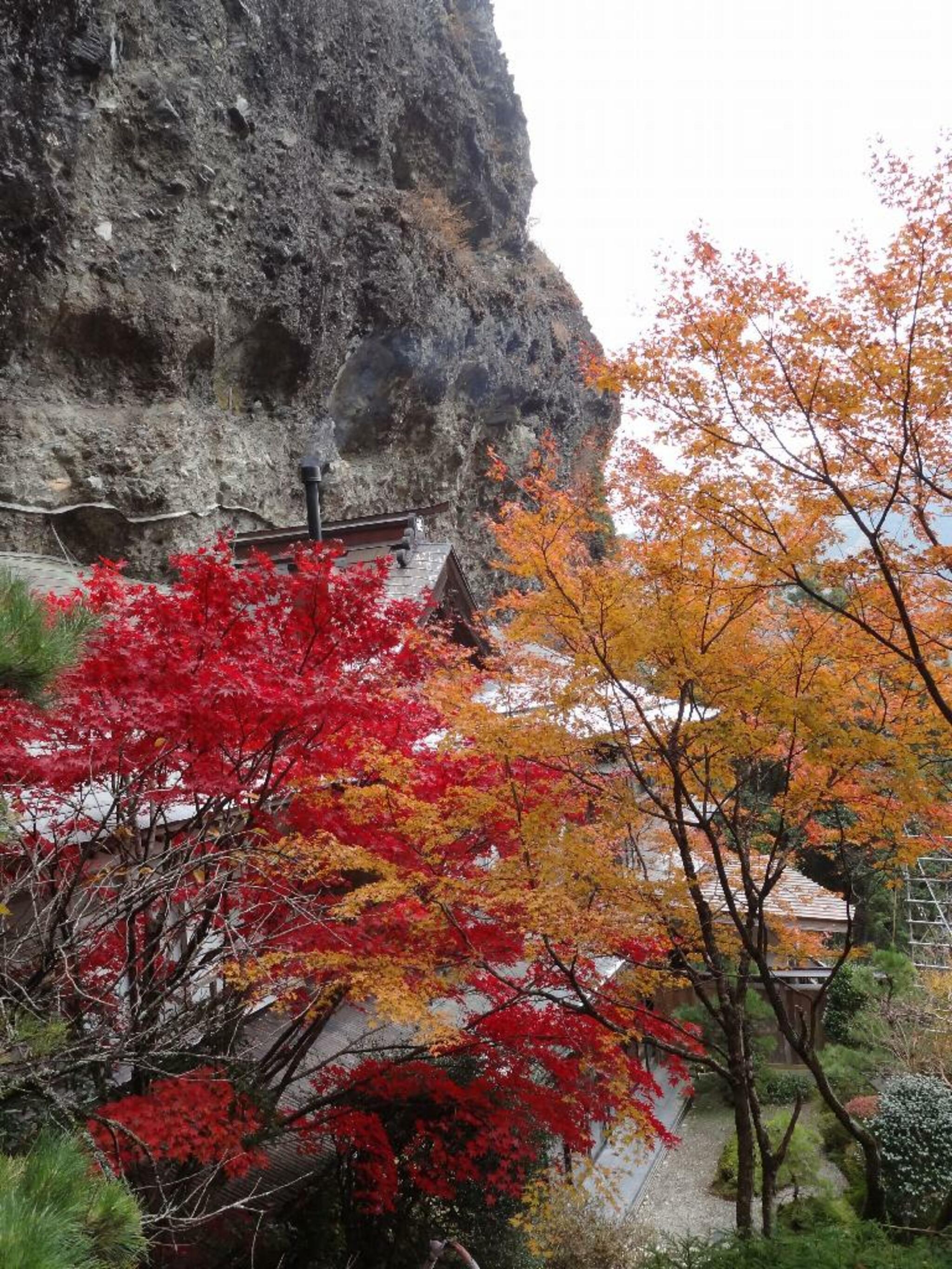 国民宿舎 古岩屋荘の代表写真6