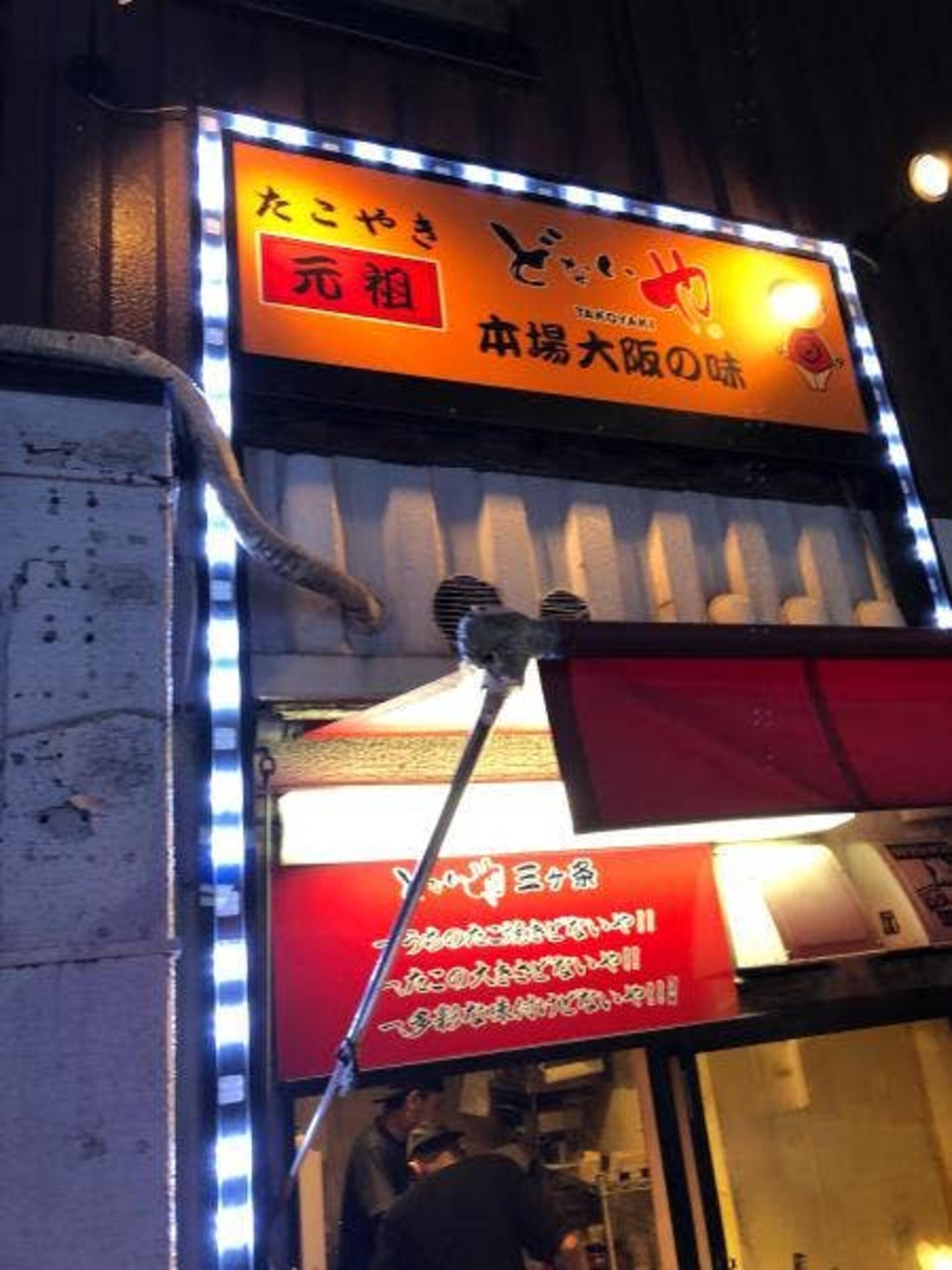 どないや 金沢片町店の代表写真5