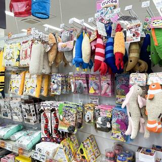 ジョイフル本田 瑞穂店 販売 ペットワールド