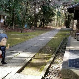 向日神社の写真24