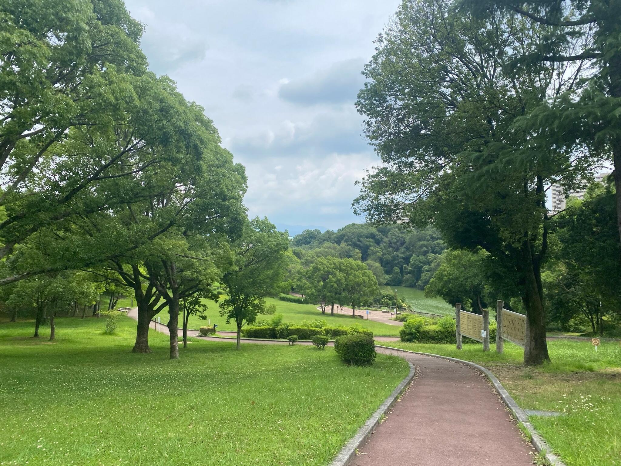 大蓮公園の代表写真10