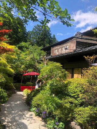 浅間茶屋 山中湖畔店 ストア ペット