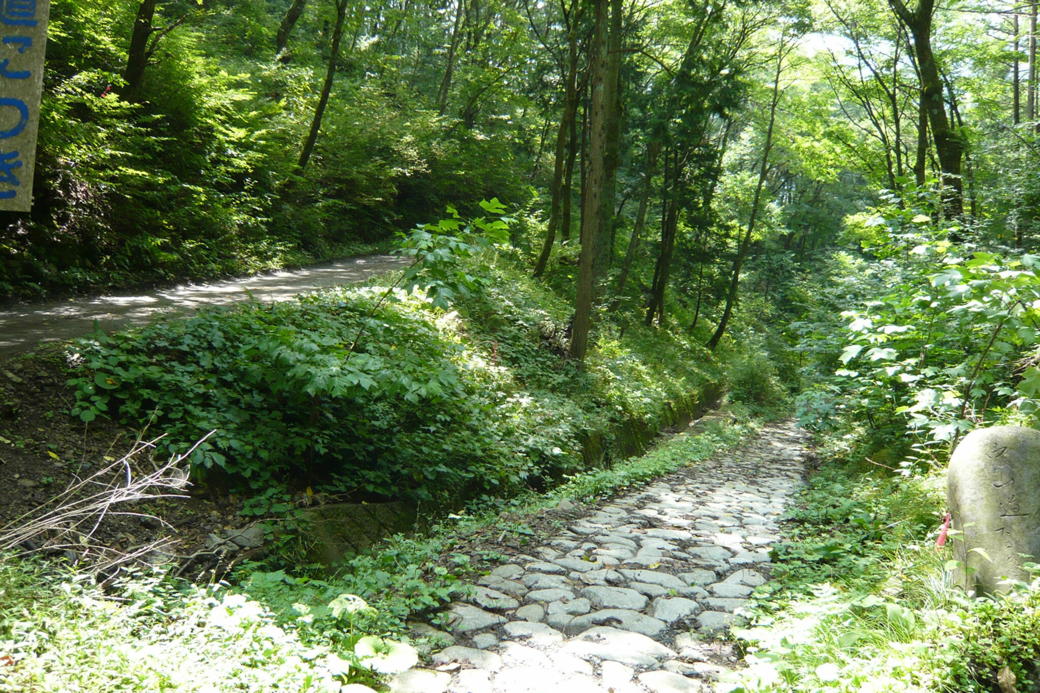 鳥居峠の代表写真4