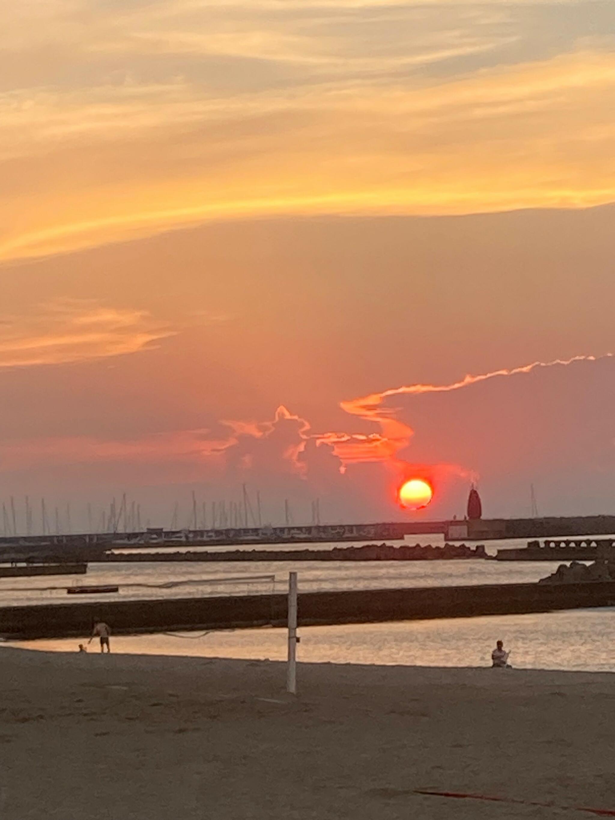 せんなん里海公園の代表写真4