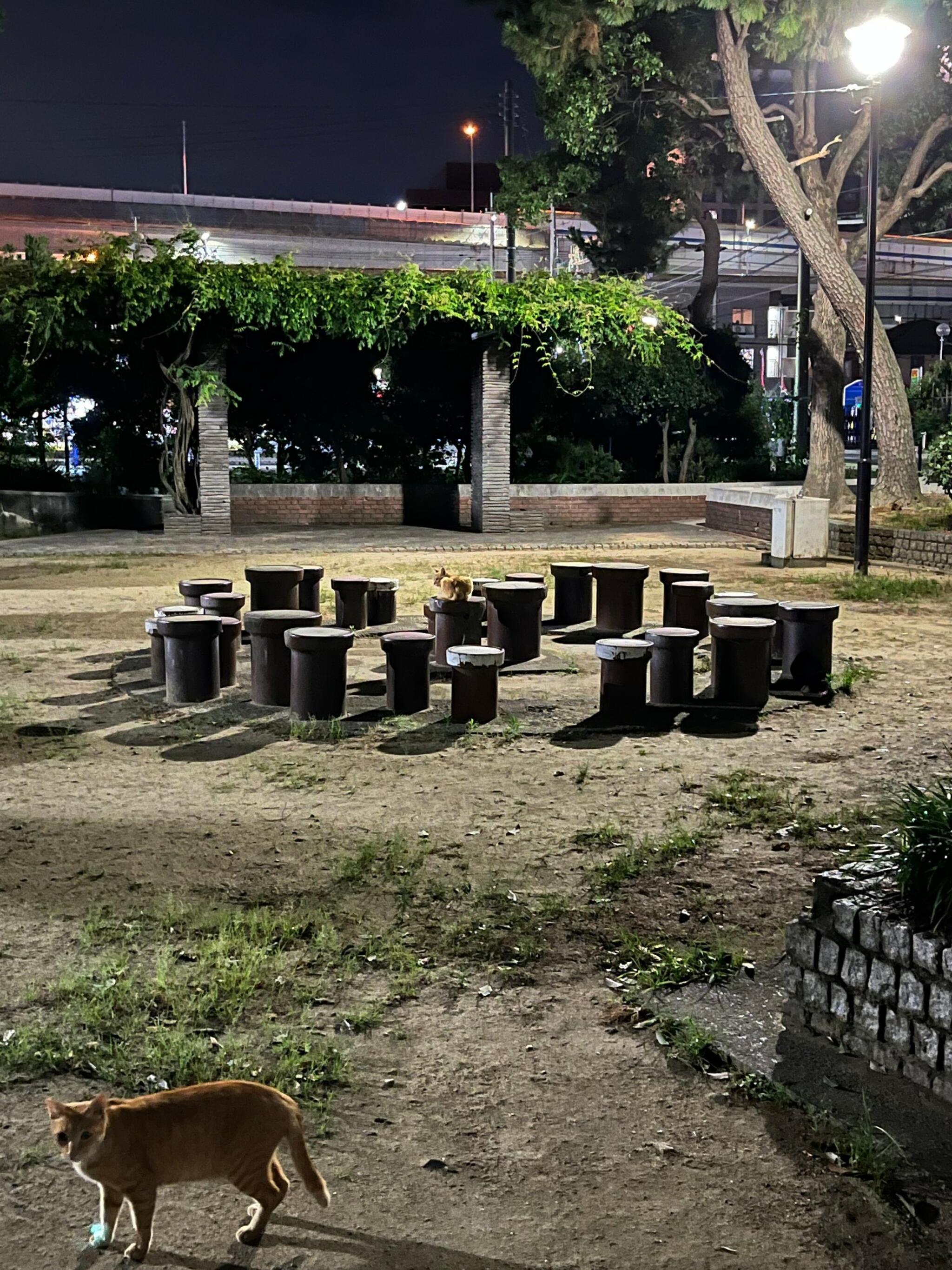 池開公園の代表写真10