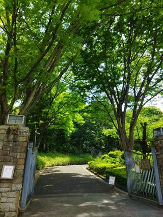 池田山公園のクチコミ写真5