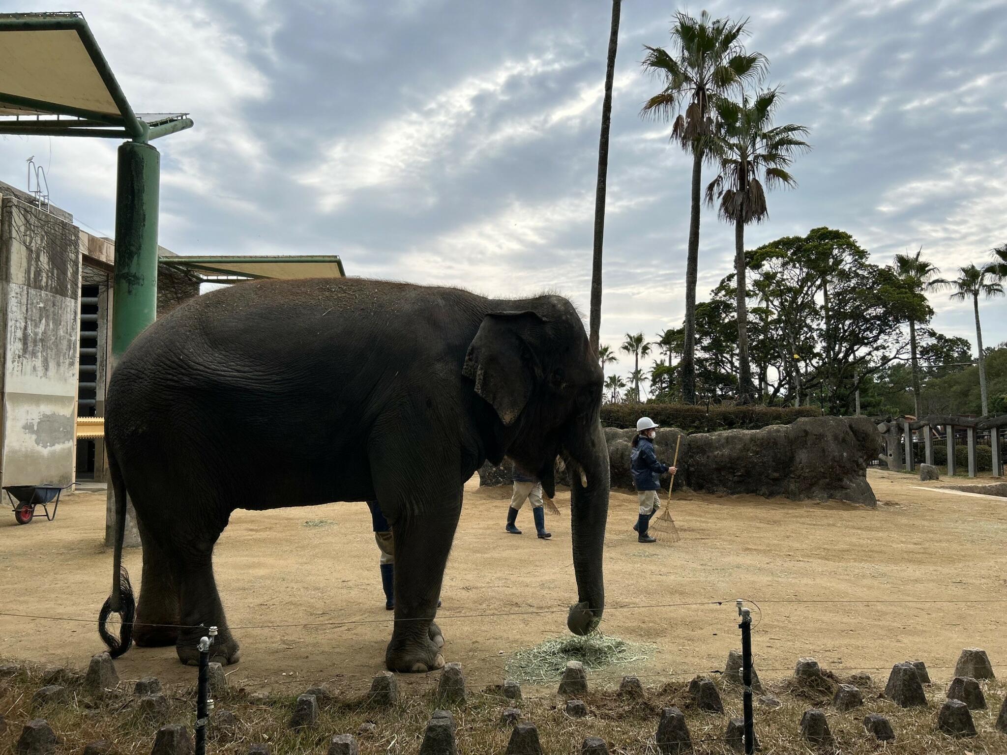 宮崎市フェニックス 自然動物園の代表写真9