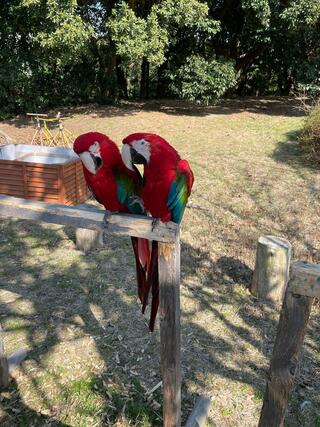 国営海の中道海浜公園のクチコミ写真1