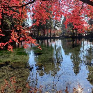 出流原弁天池の写真3