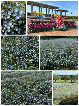 国営海の中道海浜公園のクチコミ写真1