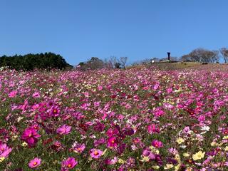 白木峰高原のクチコミ写真2