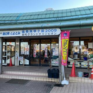 道の駅 とよとみの写真14