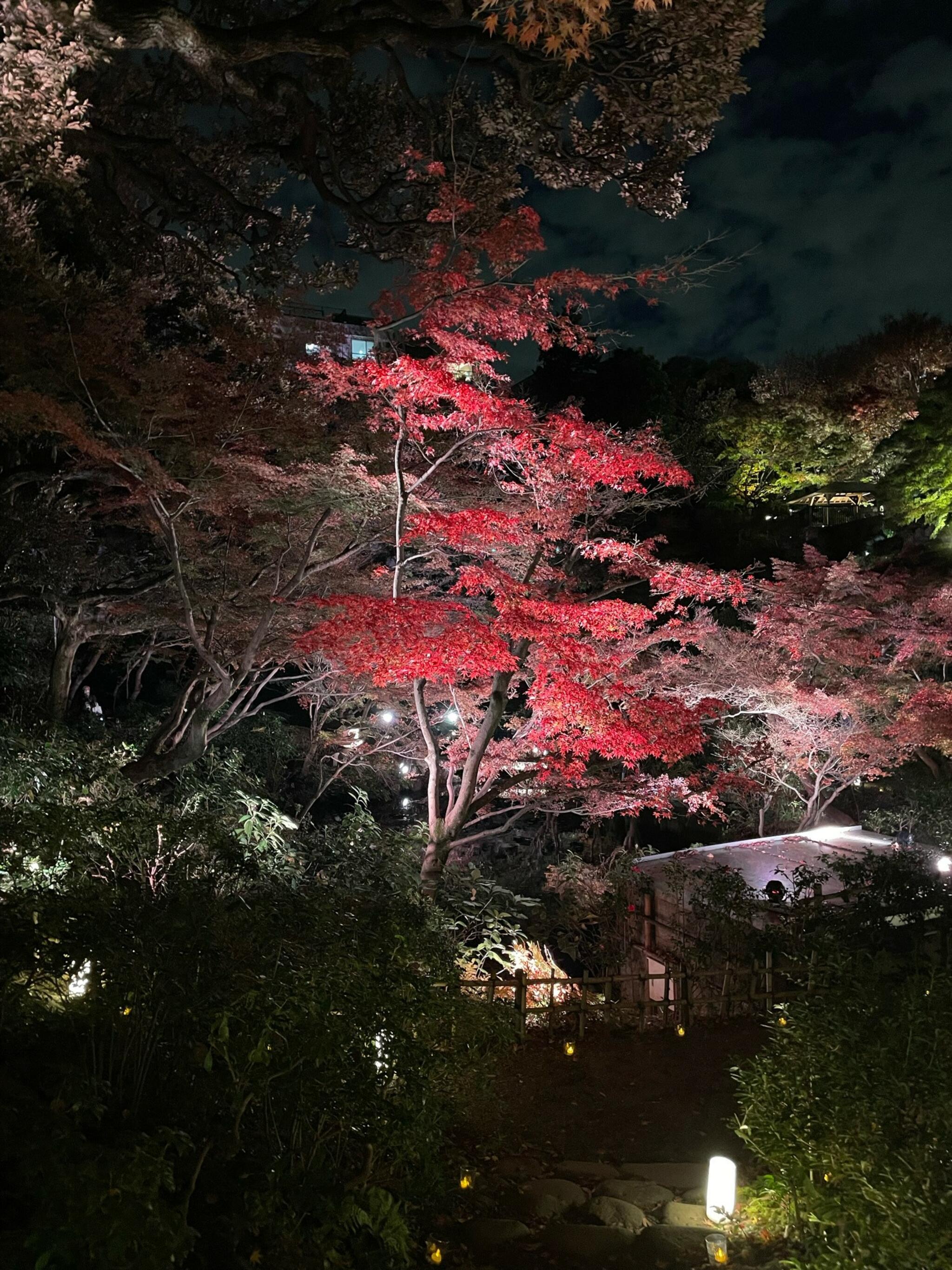 池田山公園の代表写真6